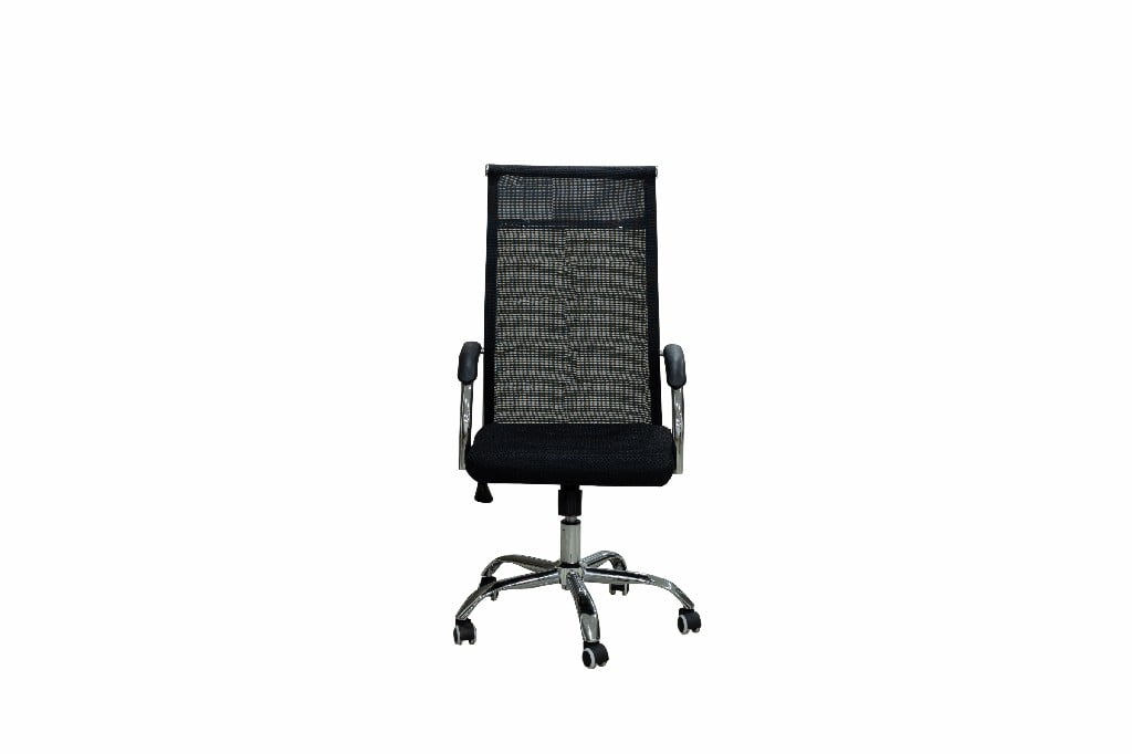 Ergo Executive (Office Chair)